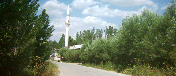 gucuk1
